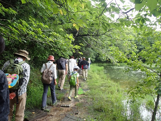 写真:牧野池沿いの散策