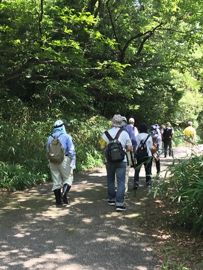 参加者が木陰を歩いている写真