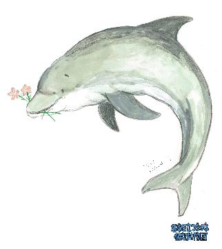 イルカのイラスト
