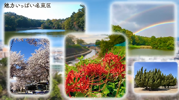 魅力発信動画サムネイル