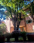 林檎の木の外観の写真