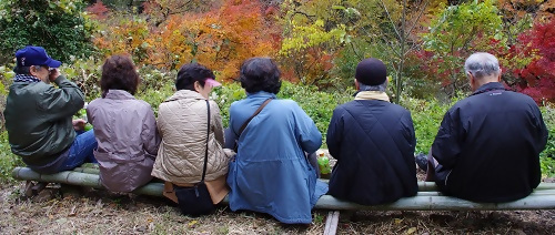 写真：写真の部　区長賞受賞作品