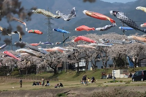 写真：写真の部　区文化協会賞受賞作品