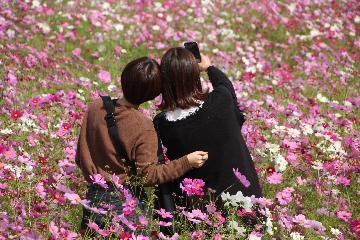 写真：写真の部　中日賞受賞作品