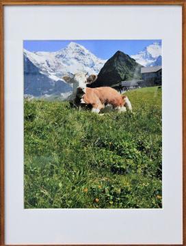 写真：写真の部　区長賞受賞作品