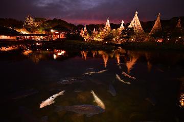 写真：写真の部　教育委員会賞受賞作品