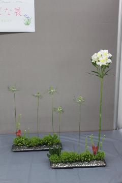 写真：池坊 近藤冨美子さんの作品