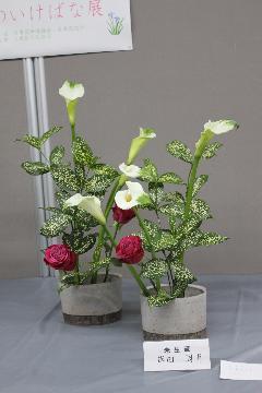 写真：未生流 岸田周甫さんの作品