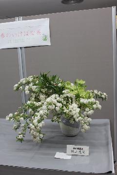 写真：桑原専慶流 岡田慶延さんの作品