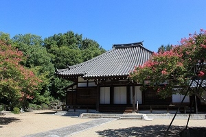 写真：蓮教寺の写真