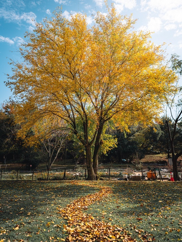 優秀賞作品の写真1