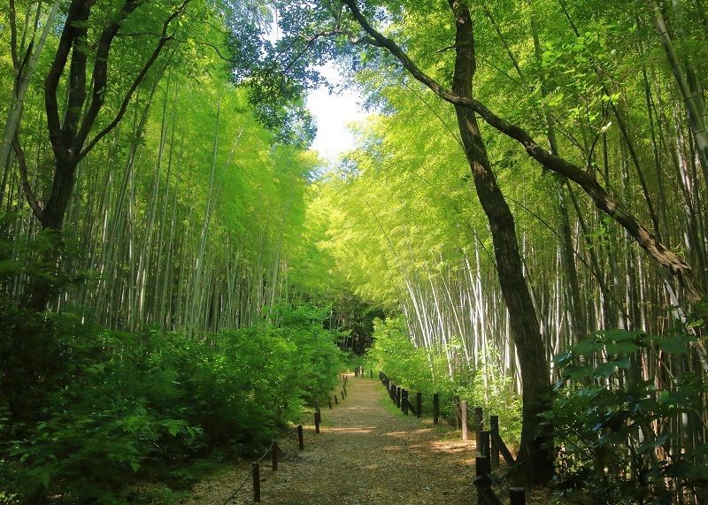 優秀賞作品の写真10