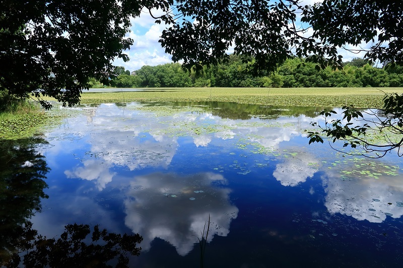 優秀賞作品の写真2