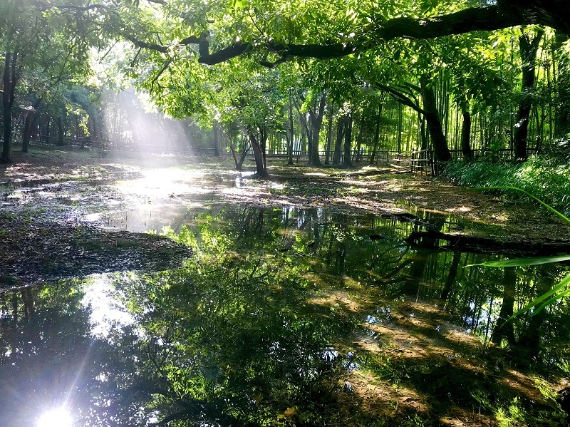 優秀賞作品の写真3