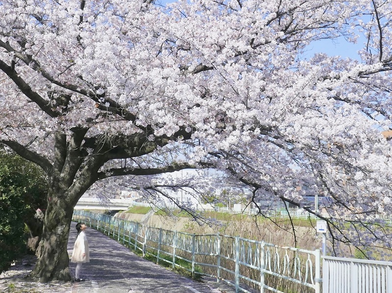 優秀賞作品の写真4