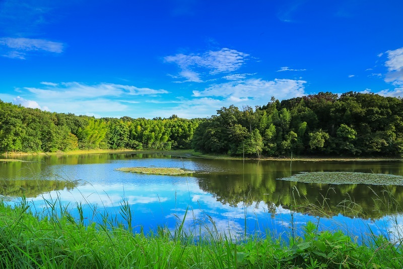 優秀賞作品の写真6