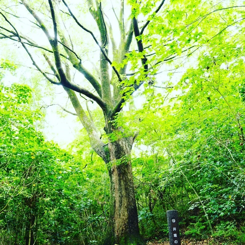 優秀賞作品の写真7