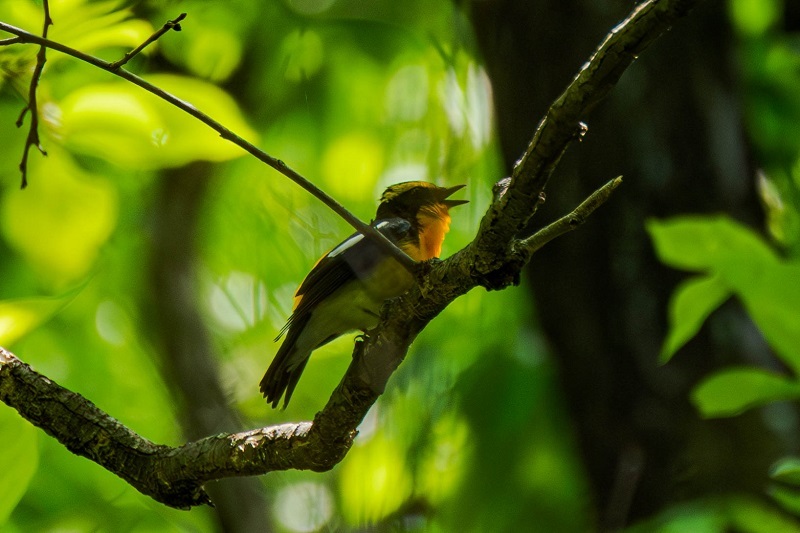 優秀賞作品の写真8