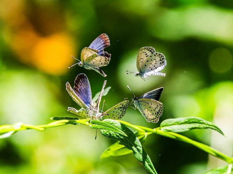 優秀賞作品の写真9