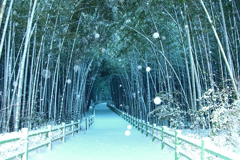 優秀賞作品の写真5