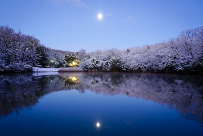 優秀賞作品の写真1