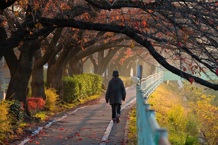 優秀賞作品の写真11