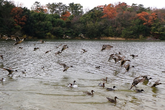 優秀賞作品の写真12