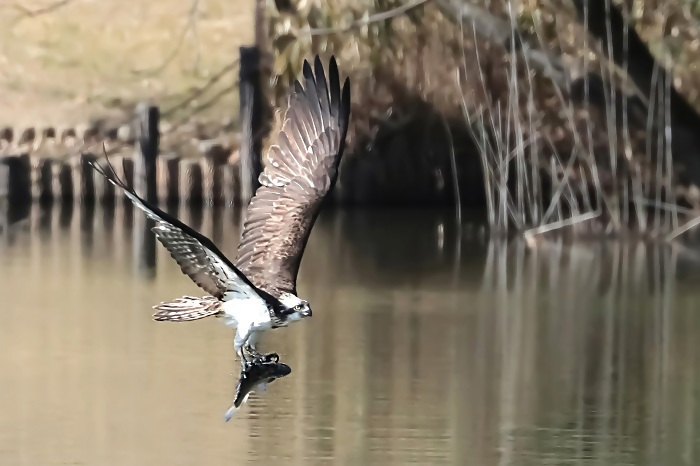 優秀賞作品の写真2