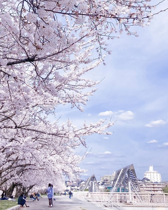 優秀賞作品の写真3