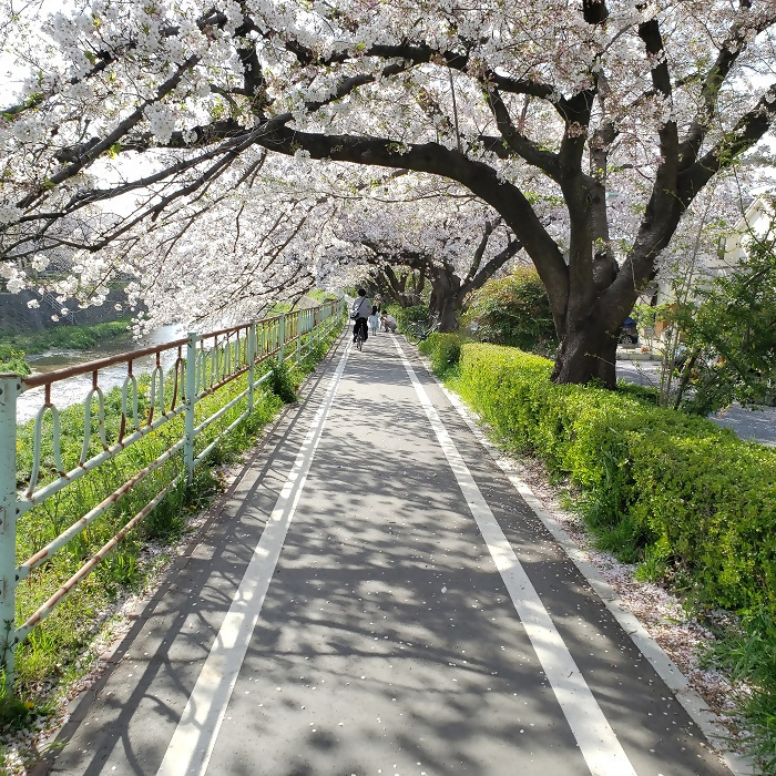 優秀賞作品の写真4