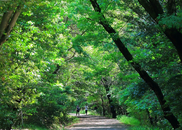 優秀賞作品の写真5