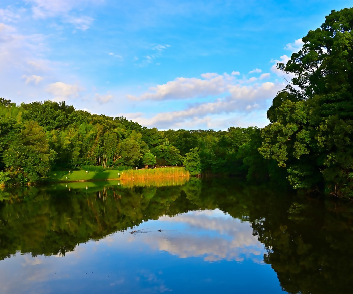 優秀賞作品の写真6