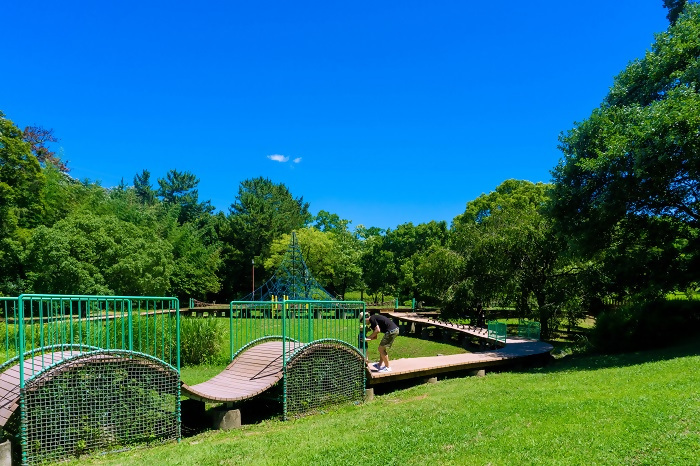 優秀賞作品の写真7