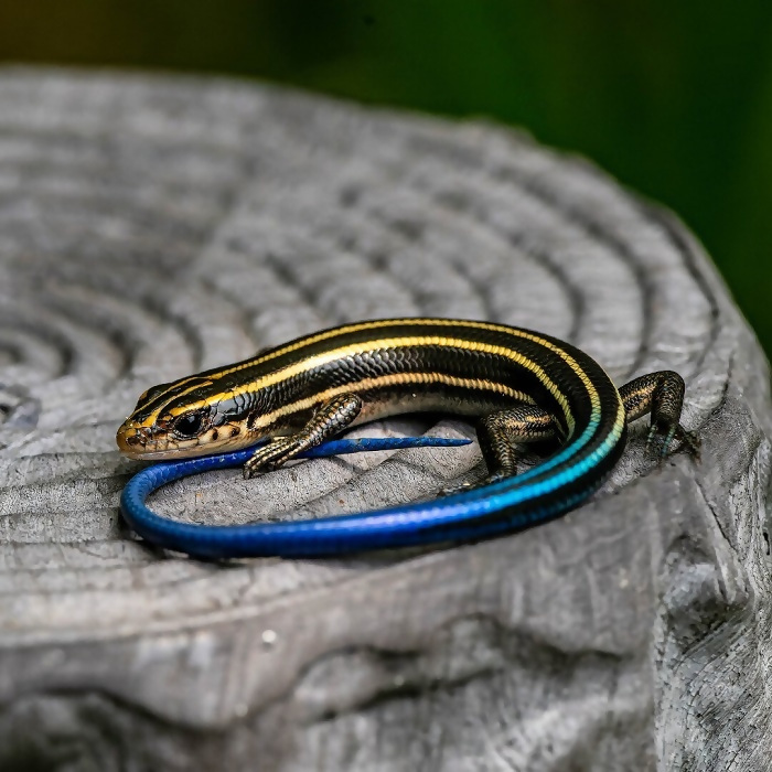 優秀賞作品の写真8