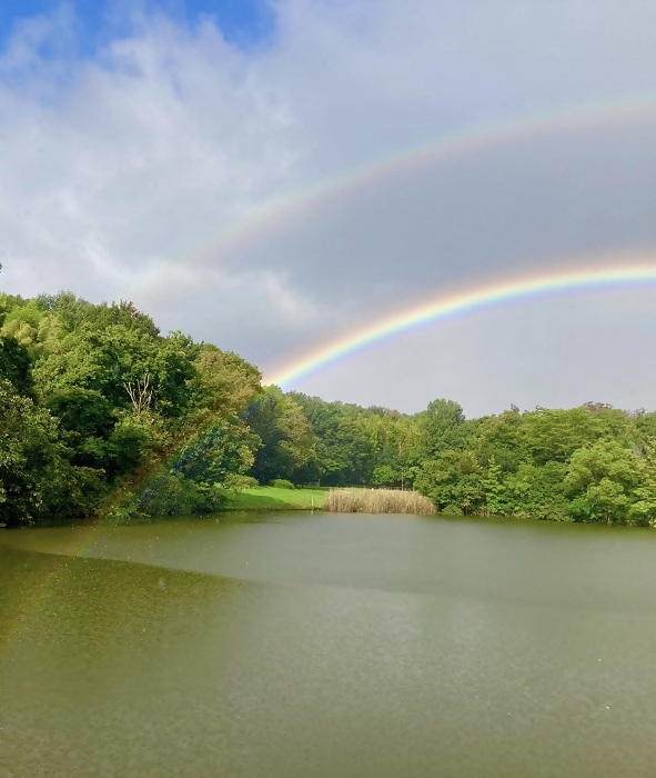 優秀賞作品の写真9