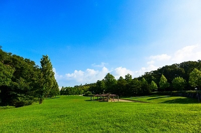牧野ヶ池緑地の写真