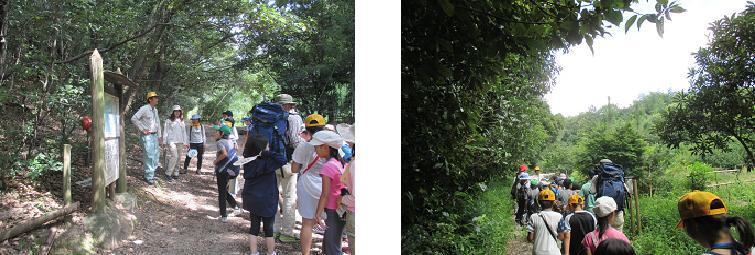 写真：相生山緑地「オアシスの森」の散策の様子