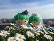 写真：マーガレットとかぼっち