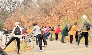 写真：天白公園でストレッチをしている参加者たち