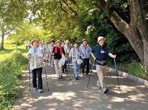 写真：天白公園でウオーキングをする参加者たち