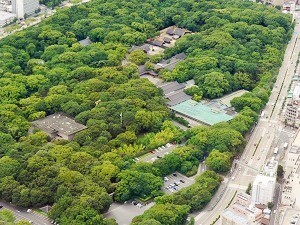写真：熱田神宮を上空から望む