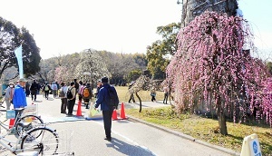 写真：ゴールの農業センターへ入っていく参加者たちの様子