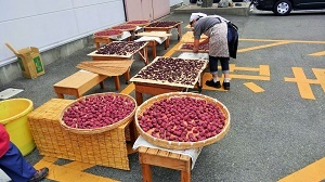 写真：梅干しをざるなどに並べて天日干しをする様子