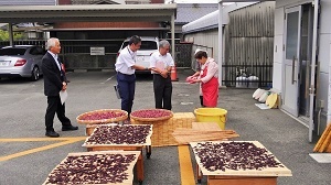 写真：天日干ししている梅干しの前で談笑する様子