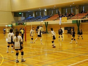 写真：レクバレーに興じる参加者の様子