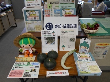 写真：区役所2階の展示です