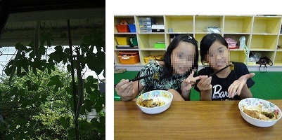 写真：児童館のセイロン瓜とセイロン瓜パーティー