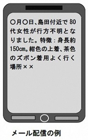 写真：メール配信の例です
