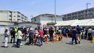 写真：高坂八重桜まつり