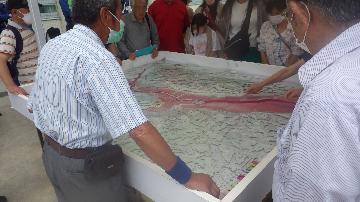 水防訓練の写真（ブースA1）